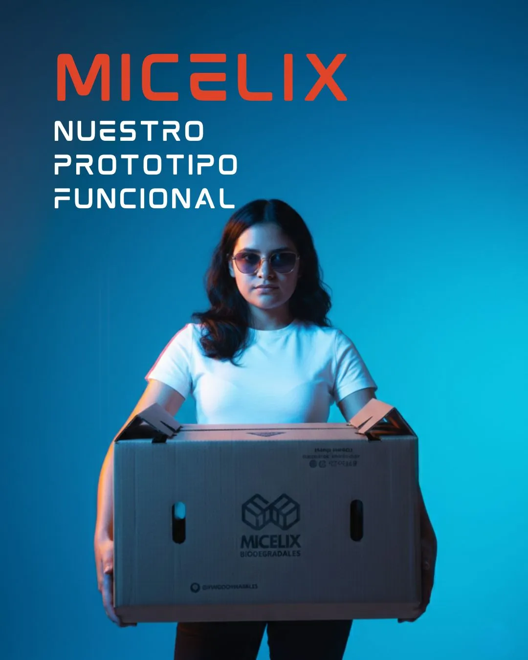 Prototipo y Certificaciones MICELIX