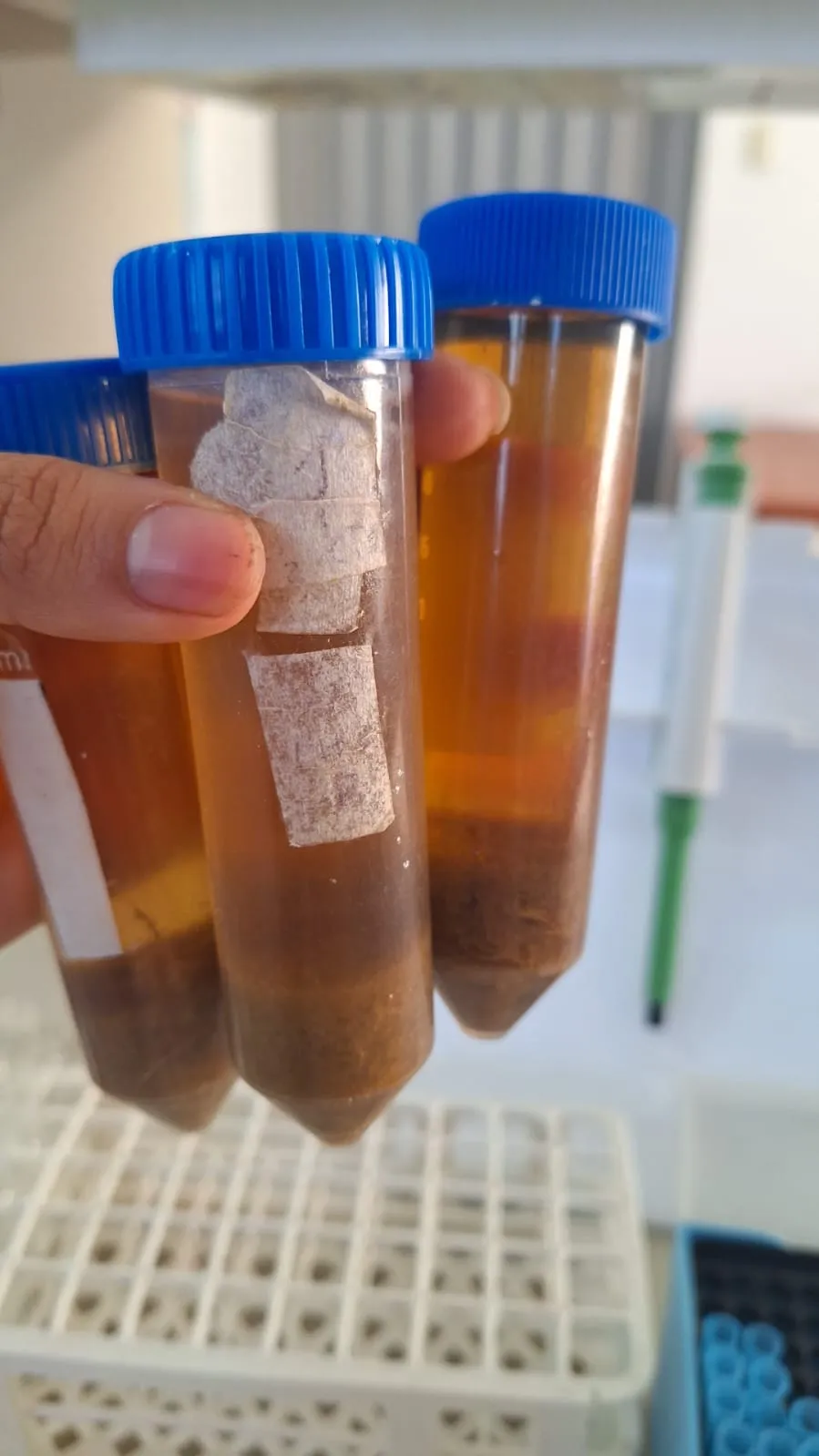 Propiedades y Desempeño del Biopolímero MICELIX