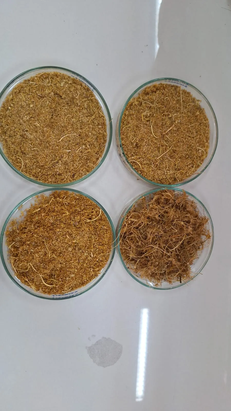 Proceso de Producción Sostenible MICELIX