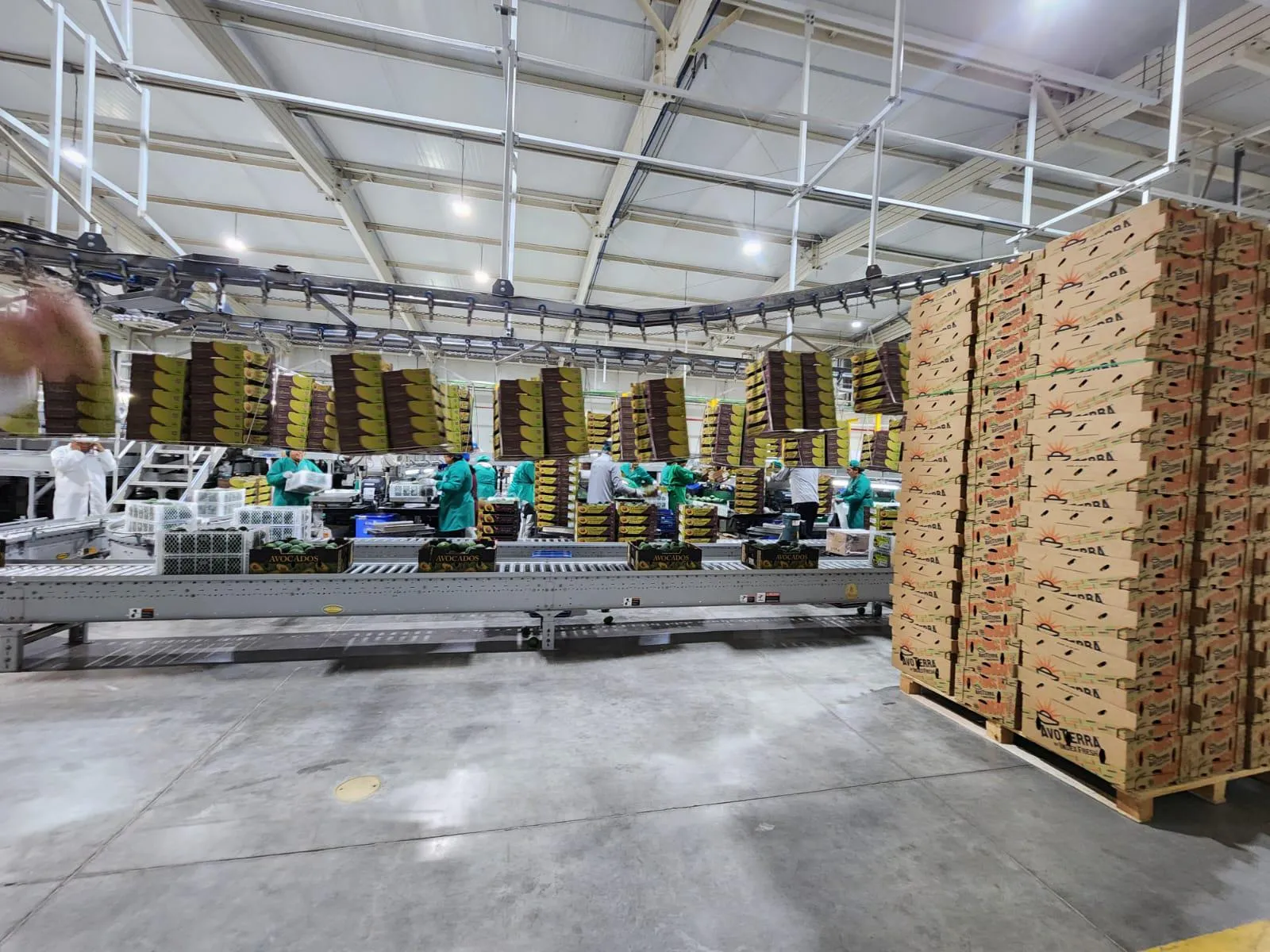 Capacidad de Absorción de CO2 en Biopolímeros MICELIX